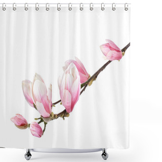 Personality  Magnolia Flower Branch On A White Background Shower Curtains