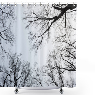Personality  Snowy Winter Park In Mist Shower Curtains