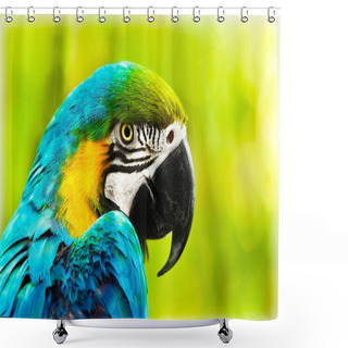 Personality  Exotic Colorful African Macaw Parrot Shower Curtains