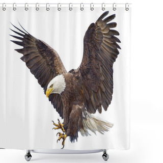Personality  Bald Eagle Flying Landing Swoop Hand Draw On White. Shower Curtains