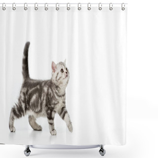 Personality  Kitten Shower Curtains