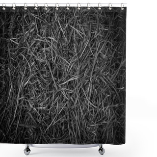 Personality  Dry Grass Leaf Texture Top View Background. Black And White Color. Shower Curtains