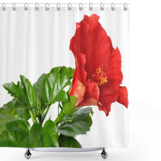 Personality  China Rose Shower Curtains