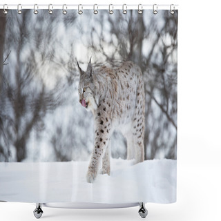 Personality  Lynx Walks In The Cold Winter Forest Shower Curtains