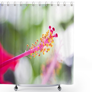 Personality  Pink Flower Close Up Shower Curtains