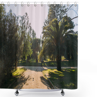 Personality  Green Trees And Walking Paths In Parc De La Ciutadella, Barcelona, Spain Shower Curtains