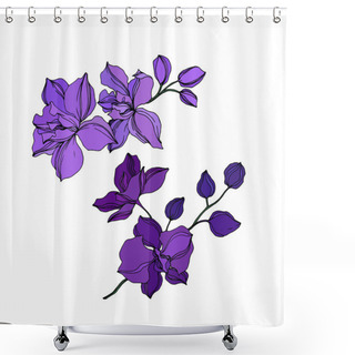 Personality  Vector Orchid Floral Botanical Flowers. Black And Purple Engraved Ink Art. Isolated Orchids Illustration Element. Shower Curtains
