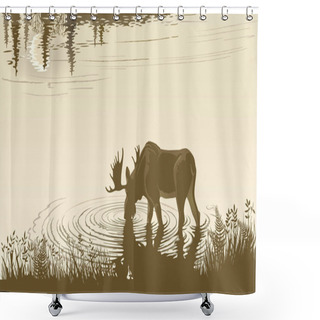 Personality  Elk In The Drinking Water Shower Curtains