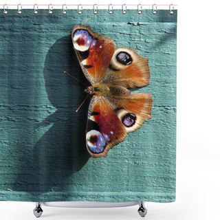 Personality  European Peacock Butterfly Shower Curtains