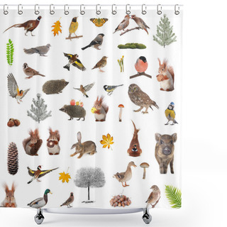 Personality  Animals And Birds Shower Curtains