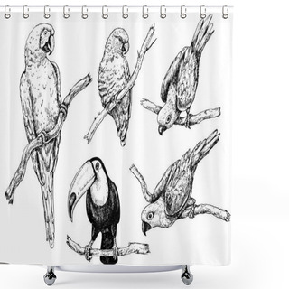 Personality  Parrots And Toucan Sketch Shower Curtains