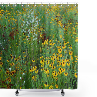 Personality  Landscape Of A Summer Wildflower Meadow, With Black-eyed Susans And Other Blooms, Michigan, USA Shower Curtains