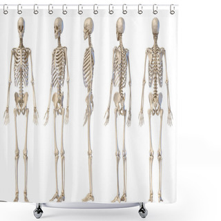 Personality  Human Male Skeleton Full Figure. Five Views.  Shower Curtains