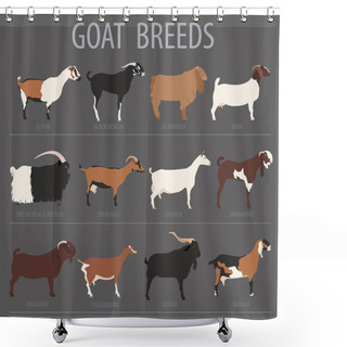 Personality  Goat Breeds Icon Set. Animal Farming. Flat Design Shower Curtains