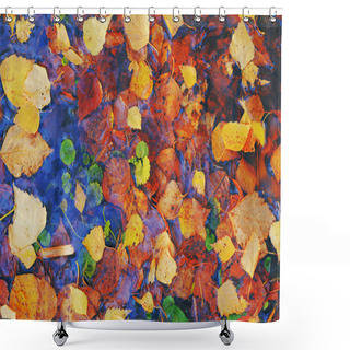 Personality  Colourful Fall Leaves In Pond Lake Water, Floating Autumn Leaf. Fall Season Leaves In Rain Puddle. Sunny Autumn Day Foliage. October Weather, November Nature Background. Beautiful Reflection In Water Shower Curtains