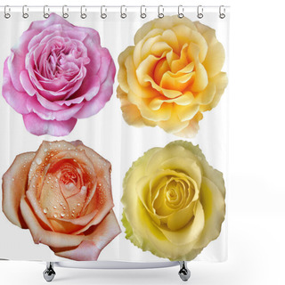 Personality  The Rose Blooms Shower Curtains