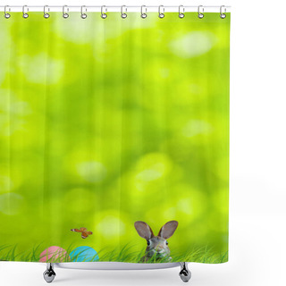 Personality  Easter Rabbit And Easter Eggs Hidden In A Colorful Natural Scene Shower Curtains