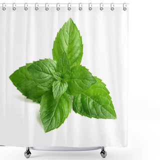 Personality  Fresh Mint In Closeup Shower Curtains