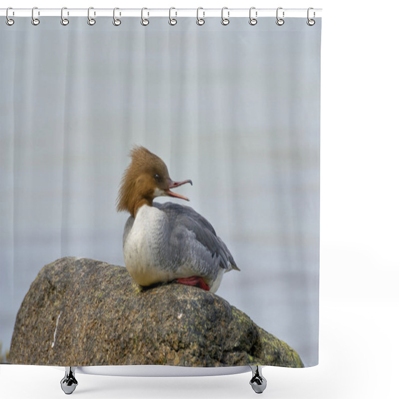 Personality  Goosander 1 Shower Curtains