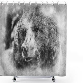 Personality  Zoo, Beautiful And Furry Brown Bear, Mammal Black And White Drawing Shower Curtains