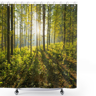Personality  Forest  Trees Background Shower Curtains