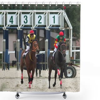 Personality  Horse Racing. Shower Curtains