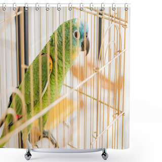 Personality  Selective Focus Of Bright Green Parrot Sitting In Bird Cage Shower Curtains