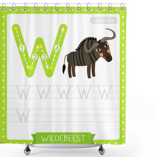 Personality  Letter W Uppercase Cute Children Colorful Zoo And Animals ABC Alphabet Tracing Practice Worksheet Of Wildebeest For Kids Learning English Vocabulary And Handwriting Vector Illustration. Shower Curtains