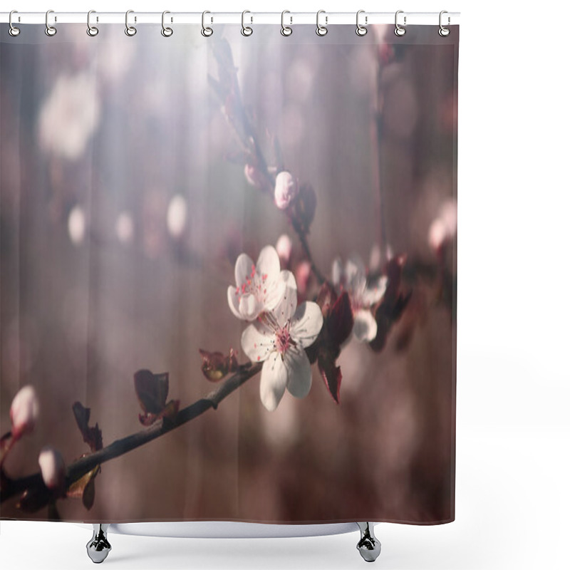 Personality  Vintage Cherry Blossom Shower Curtains