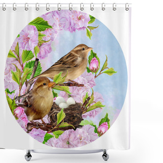 Personality  Two Sparrows On Near The Nest On The Background Of The Cherry Blossoms, Circle. Round Form. Shower Curtains