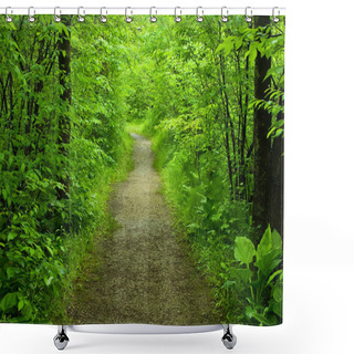 Personality  Walking Path In The Forest Shower Curtains