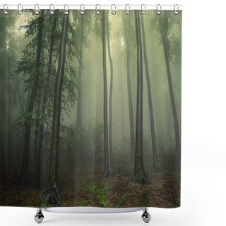 Personality  Green Forest With Fog Between Trees Shower Curtains