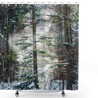 Personality  Forest With Sunshine Through Green Trees And Snowfall Shower Curtains