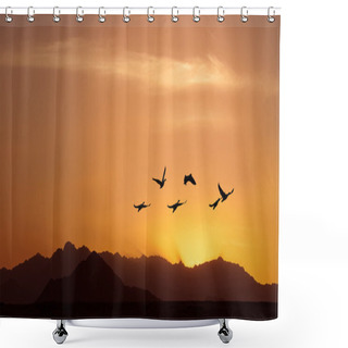 Personality  Golden Sky On Sunset Or Sunrise With Flying Birds Panoramic View Shower Curtains