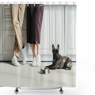 Personality  Dog Shower Curtains