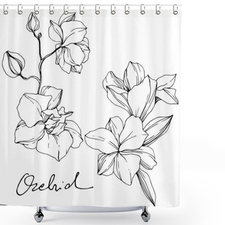Personality  Beautiful Orchid Flowers. Black And White Engraved Ink Art. Isolated Orchids Illustration Element On White Background. Shower Curtains