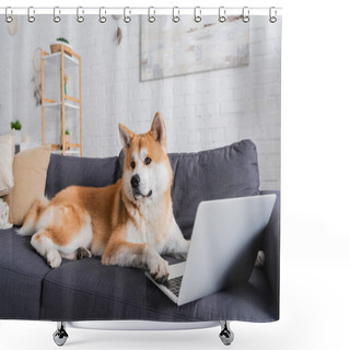 Personality  Akita Inu Dog Sitting On Couch Near Laptop In Modern Living Room Shower Curtains