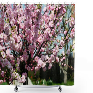Personality  Prunus Triloba - Flowering Almond Shower Curtains