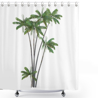 Personality  Oncosperma Tigillarium Isolated On White Background. 3D Rendering, Illustration. Shower Curtains