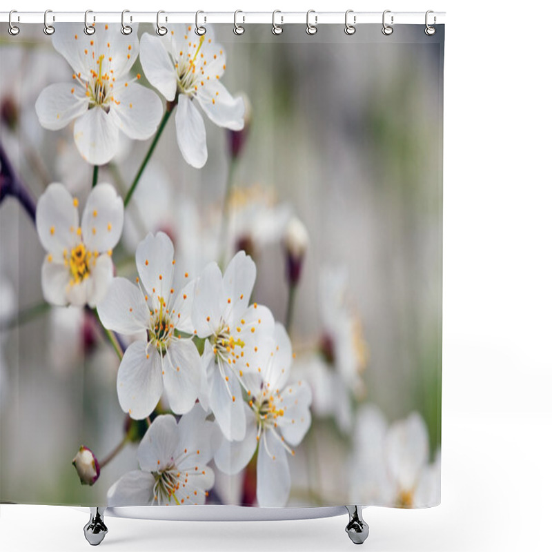 Personality  blooms tree branch against blur background shower curtains