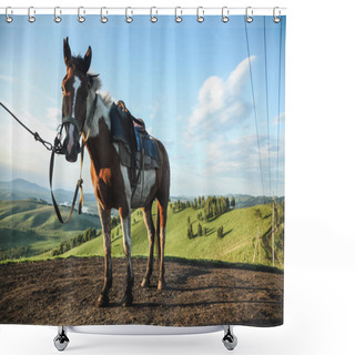 Personality  Horse Shower Curtains