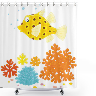 Personality  Yellow Boxfish On A Reef Shower Curtains