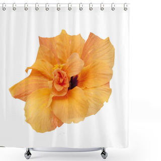 Personality  Single Orange Hibiscus Shower Curtains