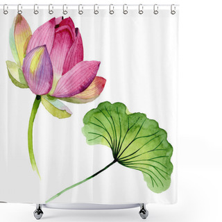 Personality  Pink Lotus Floral Botanical Flowers. Watercolor Background Illustration Set. Isolated Nelumbo Illustration Element. Shower Curtains