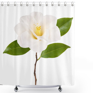 Personality  Camellia Branch With Flower   Isolated On White Shower Curtains