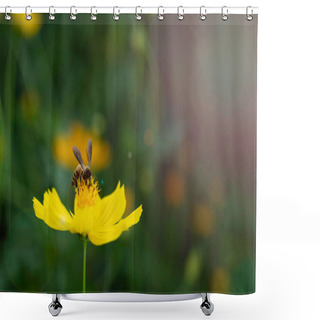Personality  Closed Up Of Bee On Yellow Pollen Of Yellow Starburst Flower With Green And Yellow Background And Flare Light. Shower Curtains