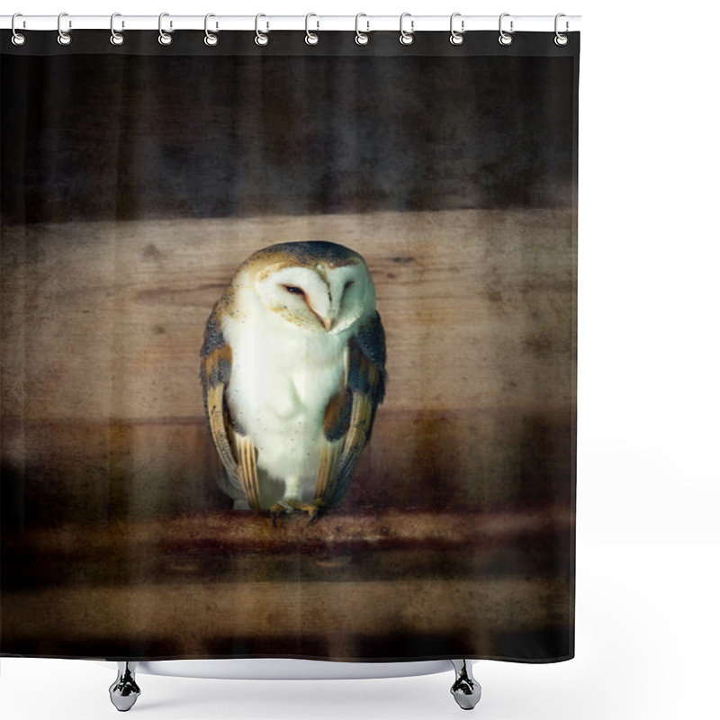 Personality  Barn Owl Vintage Shower Curtains