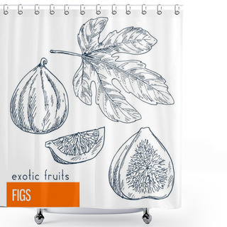 Personality  Figs. Hand Drawn Vector Illustration Shower Curtains