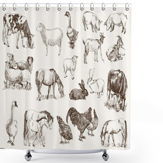 Personality  Farm Animals Shower Curtains