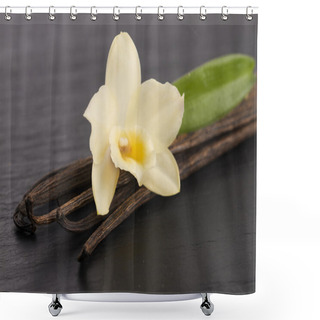Personality  Vanilla Pods Shower Curtains